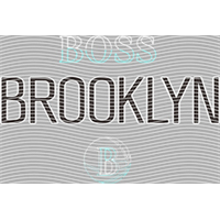 Brand Catalog-ZX 399